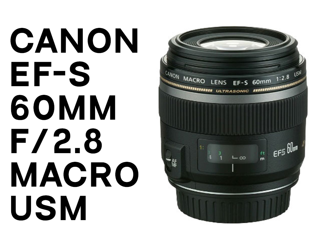 Canon EF-S 60mm F2.8 Macro USM Lens