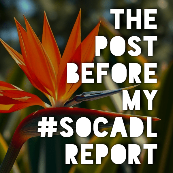 Pre SocADL Report