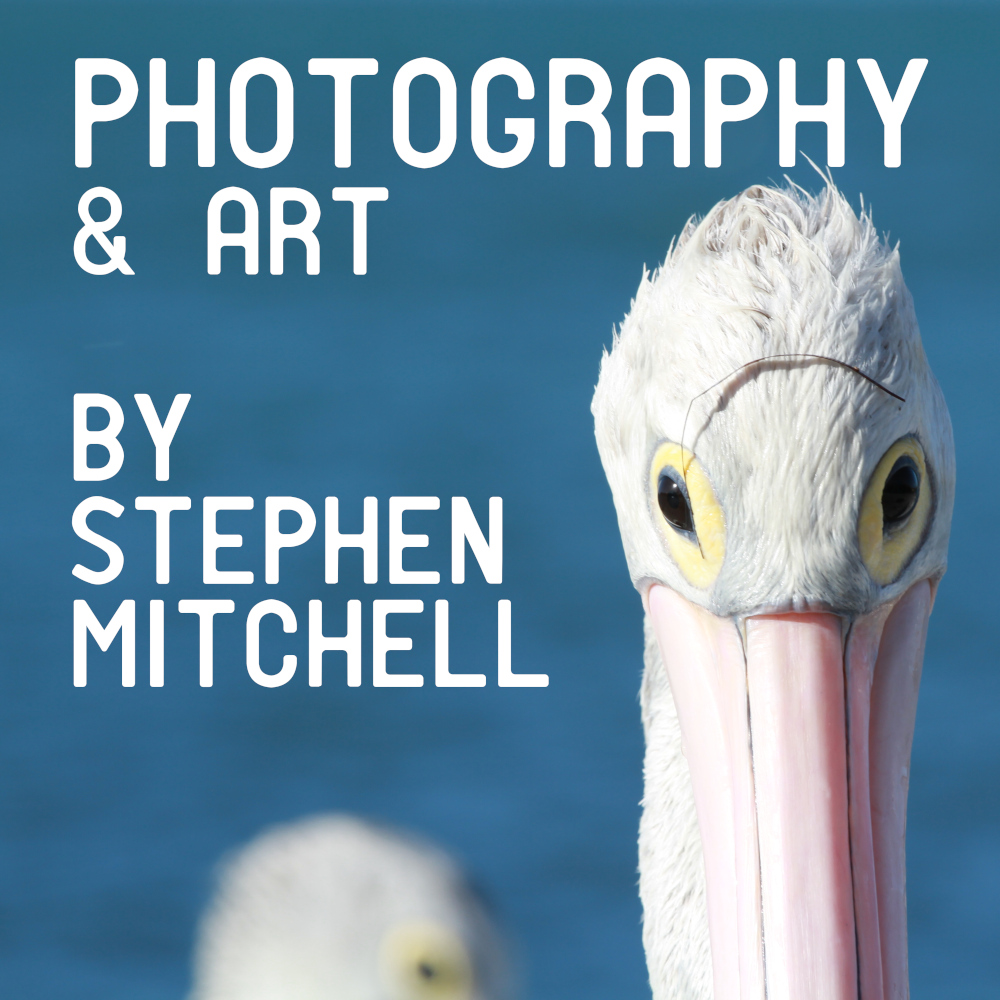Photography and Art by Stephen Mitchell