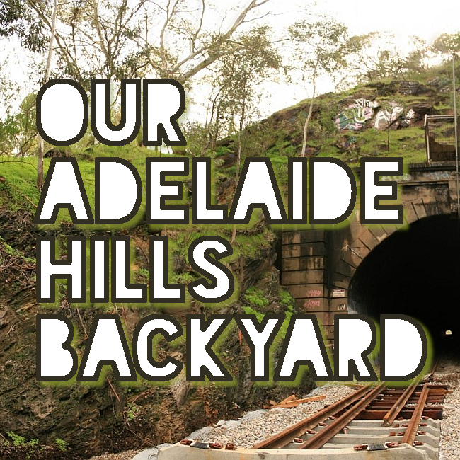 Our Adelaide Hills Backyard