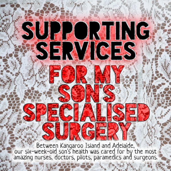 Supporting Medical Support Services