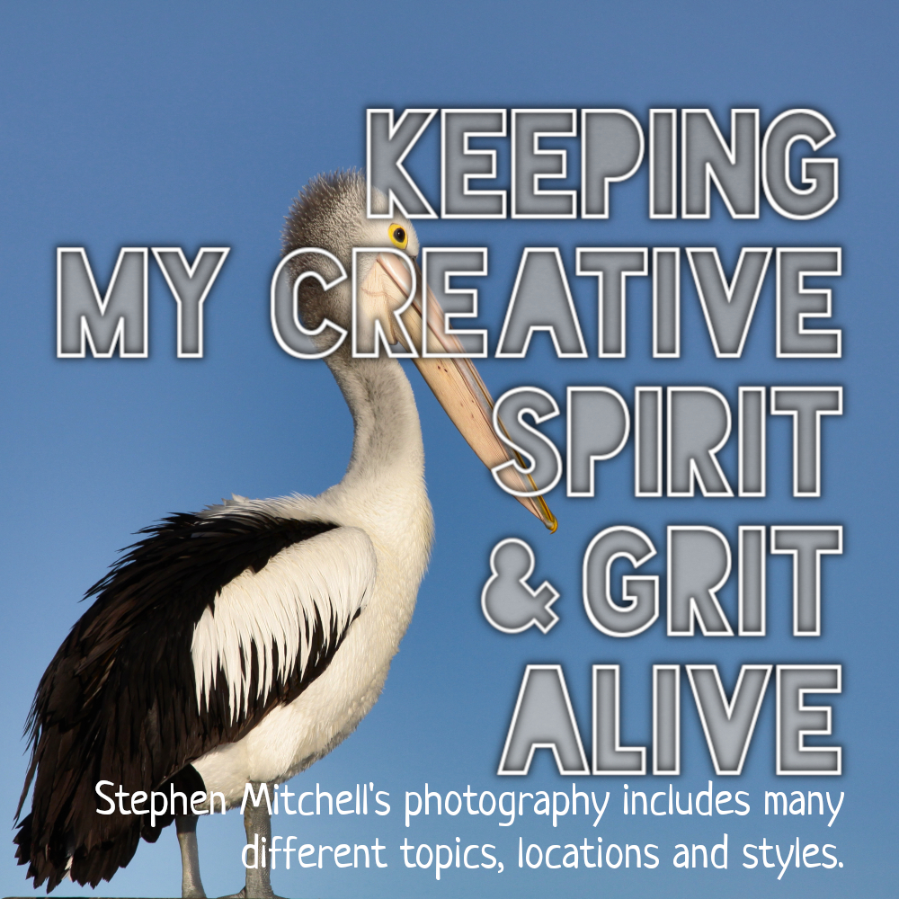 Keeping My Creative Spirit and Grit Alive