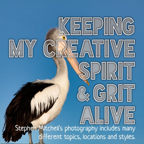 Keeping My Creative Spirit and Grit Alive