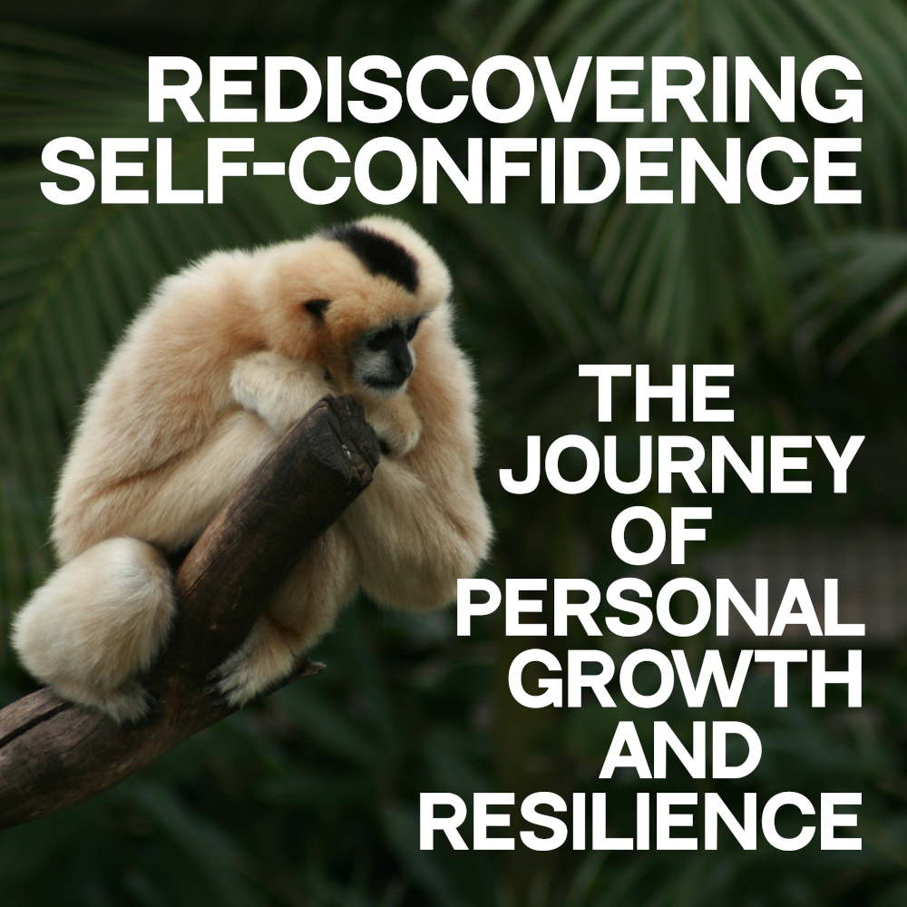 Rediscovering Self Confidence - The Journey of Personal Growth and Resilience