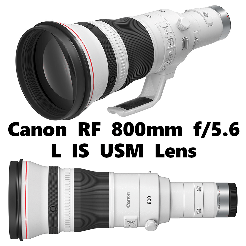 Canon RF 800mm f5.6 L IS USM Lens