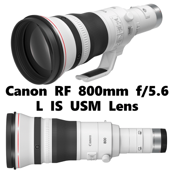 Canon RF 800mm f5.6 L IS USM Lens