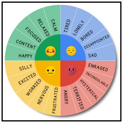 Emotional Wheel SML