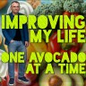 Improving My Life with Avocado
